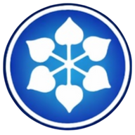 DCM Shriram Industries Ltd. logo